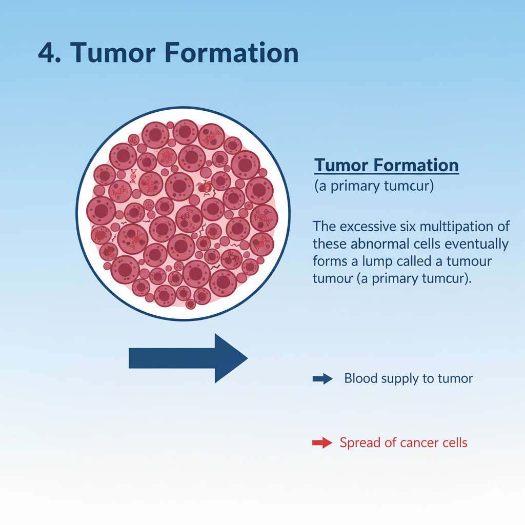 Tumor Formation